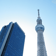 東京入選「魅力不動產投資標的BIG 7」