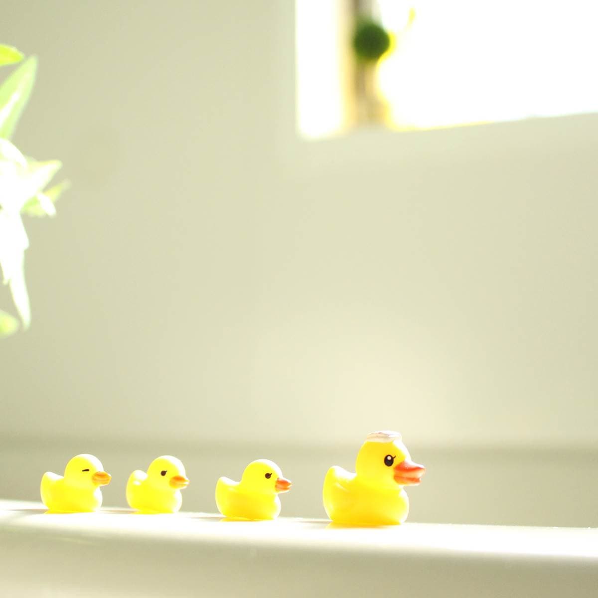 整體浴室(unit bath)