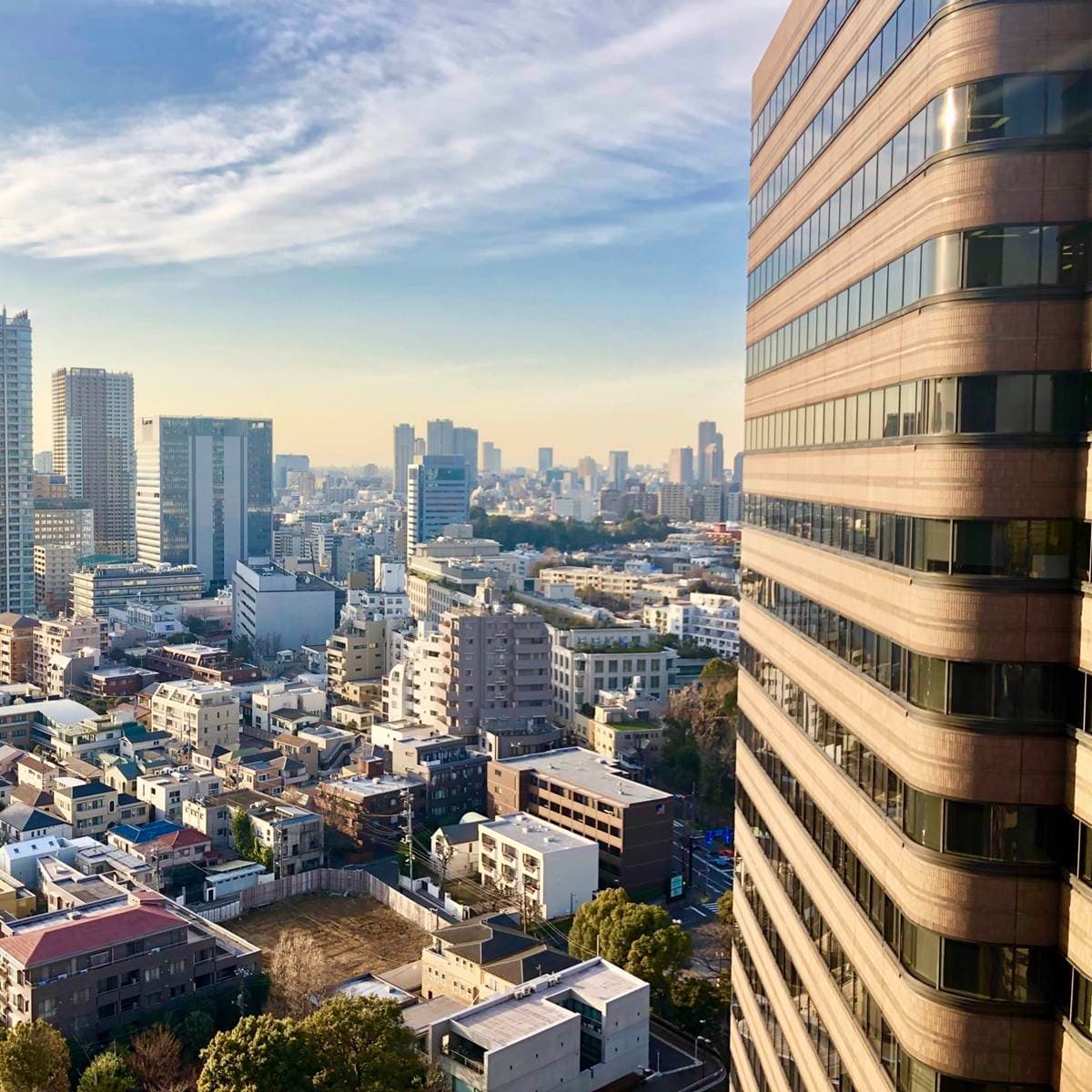 東日本REINS發表2019年東京首都圈中古物件屋齡分析