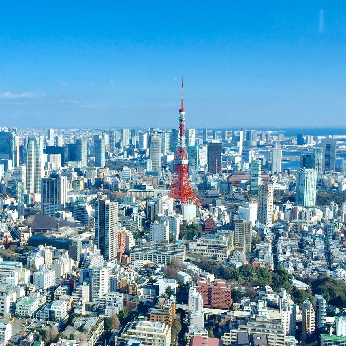 疫情下的東京觀察隨筆