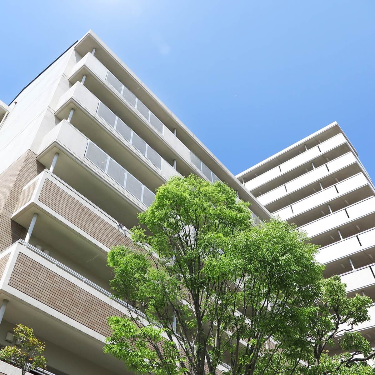 新冠疫情之下的公寓大廈市場 富裕階層與投資家展現存在感