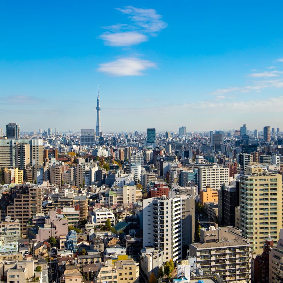 不動研住宅價格指數：東京首都圈連5個月上升
