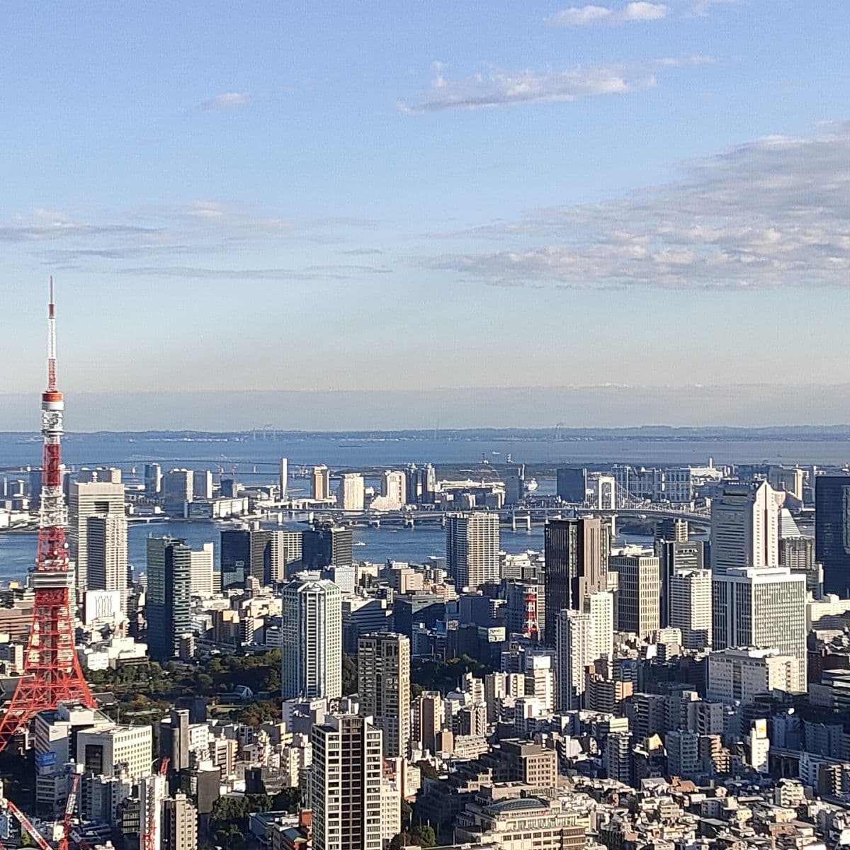 東日本REINS：1月中古公寓大廈成交數大幅增加創最高紀錄