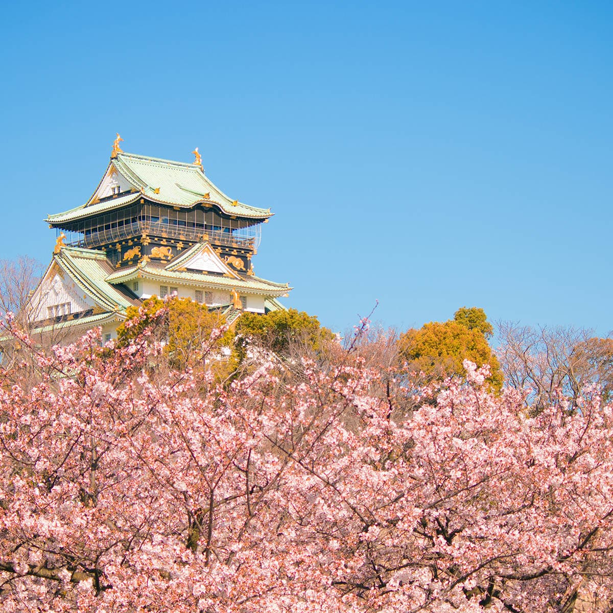 天下的廚房(天下の台所)