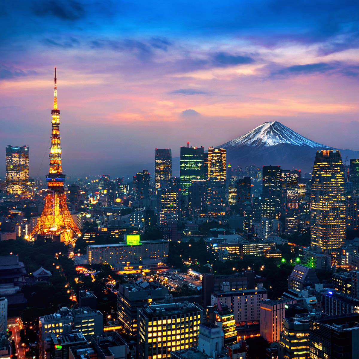 擁有東京鐵塔景觀的新建公寓價格高出10%