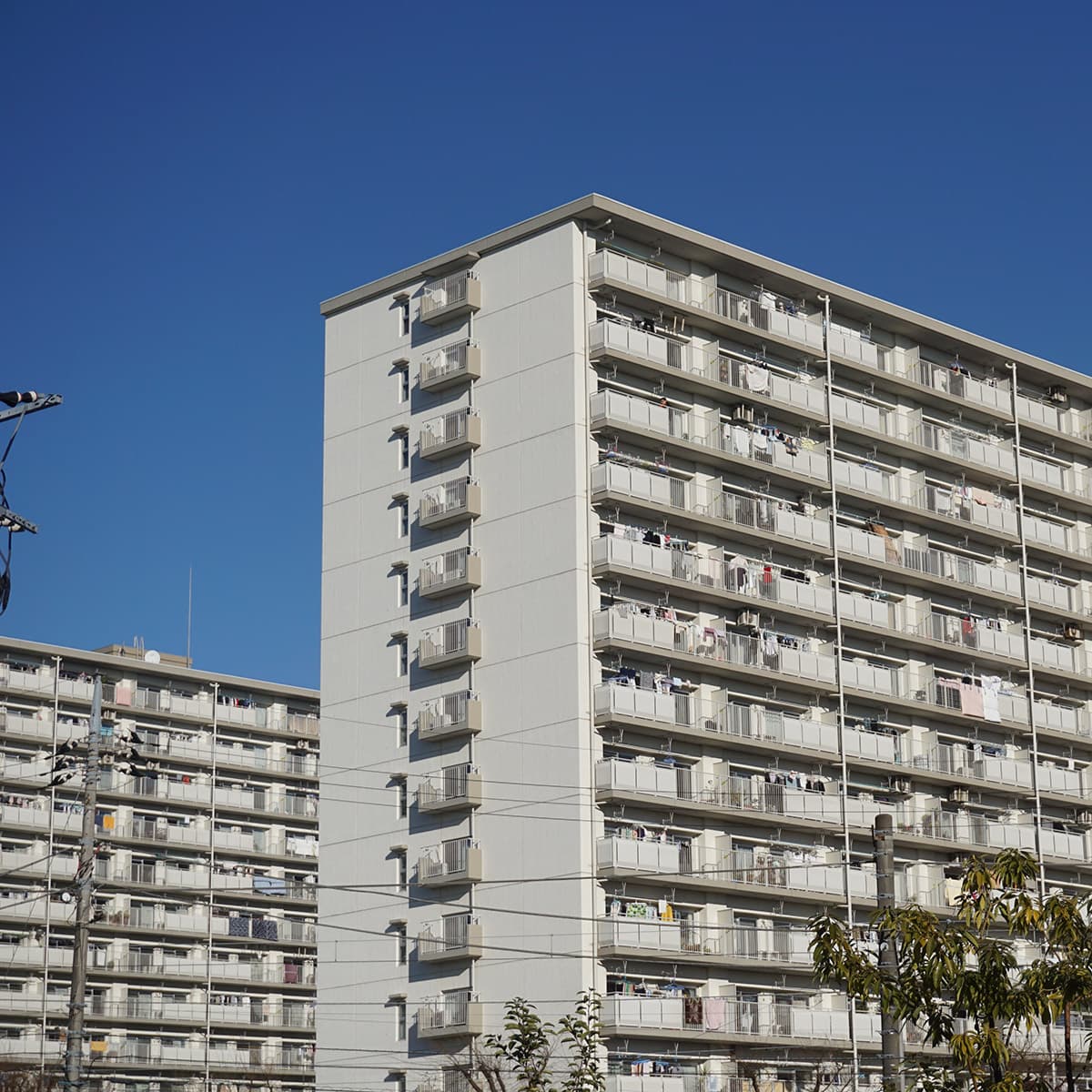 「マンション」(Mansion)介紹
