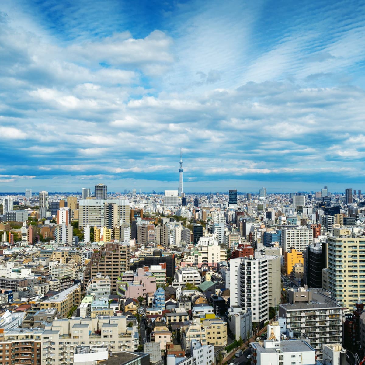 日本首都圈、近畿圈4~6月中古大樓成交件數皆創新高
