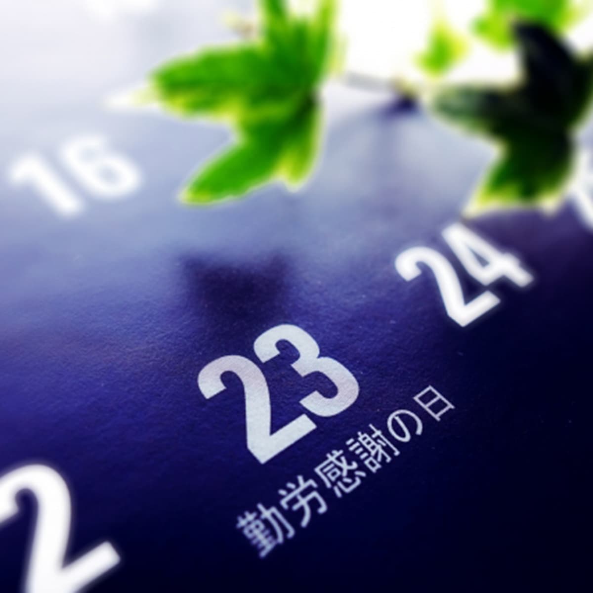 日本人的感恩節：勤勞感謝之日(勤労感謝の日)
