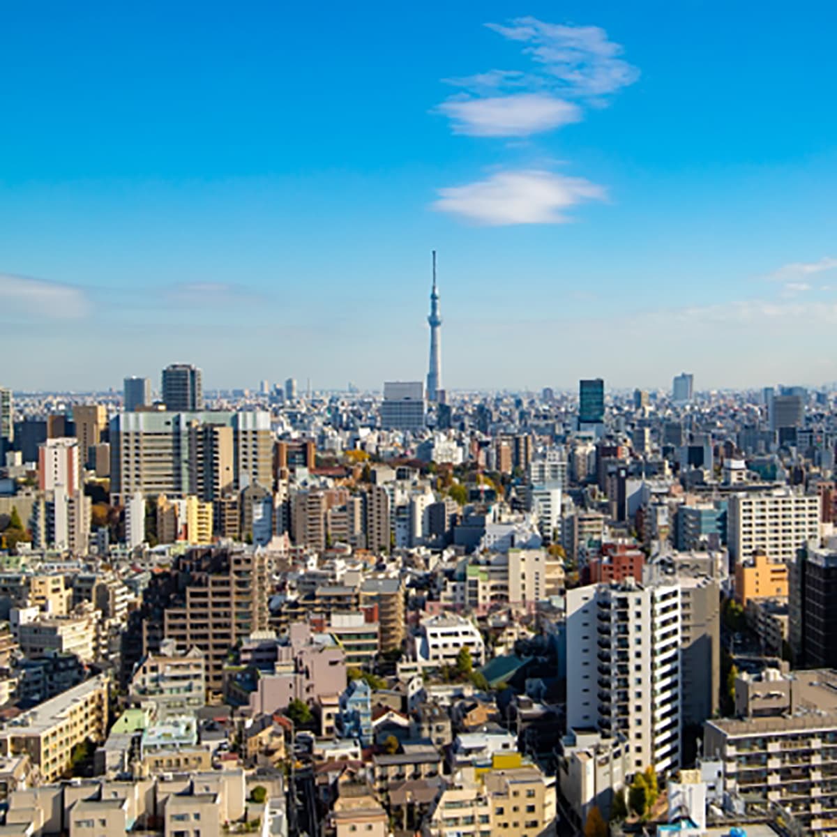 2021年東京首都圈中古公寓大廈平均希望售價上漲11.6%