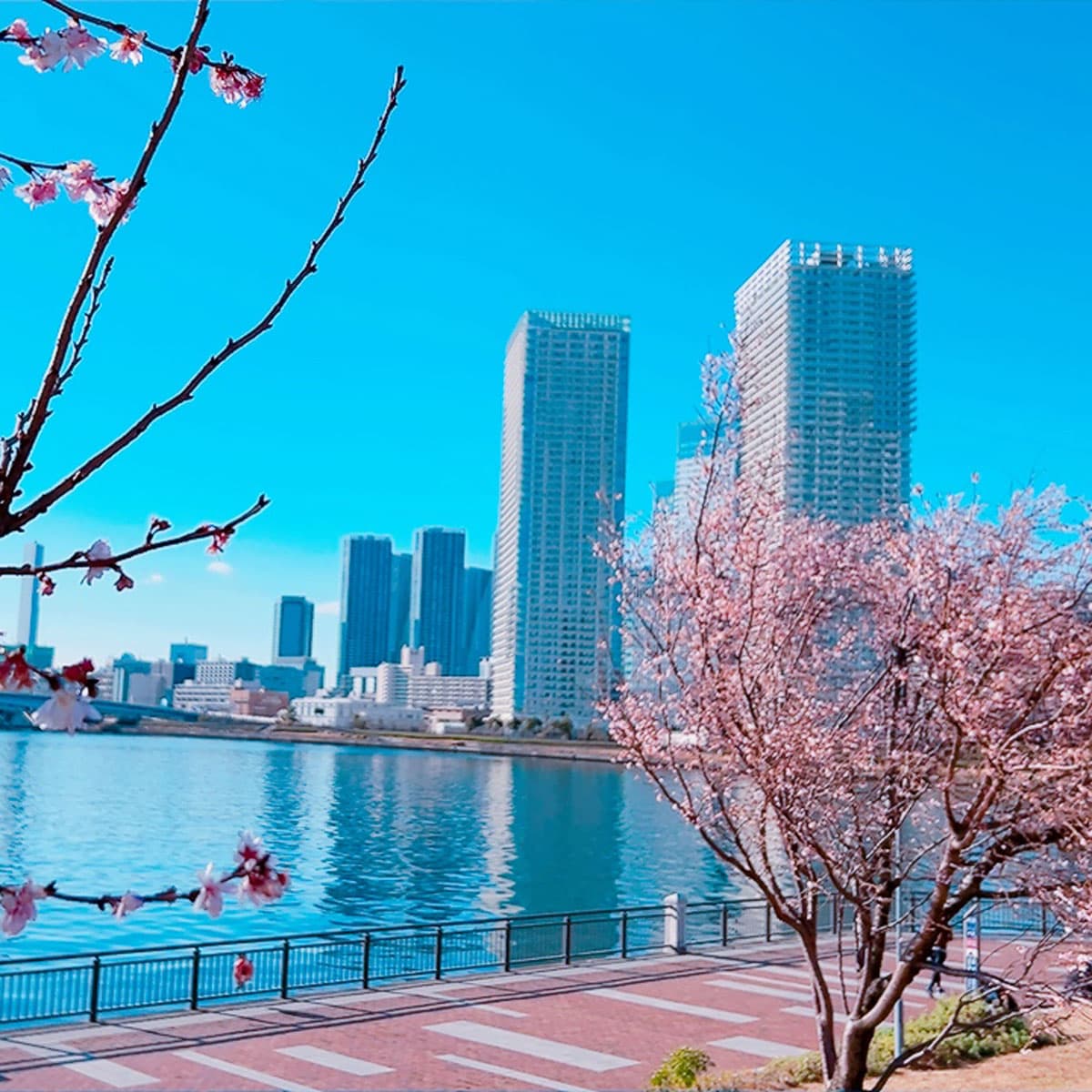 地方都市的超高層公寓滿意度超過九成