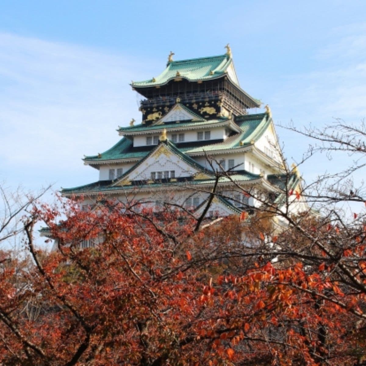 大阪市人口「社會增加」連續兩年位居日本第一