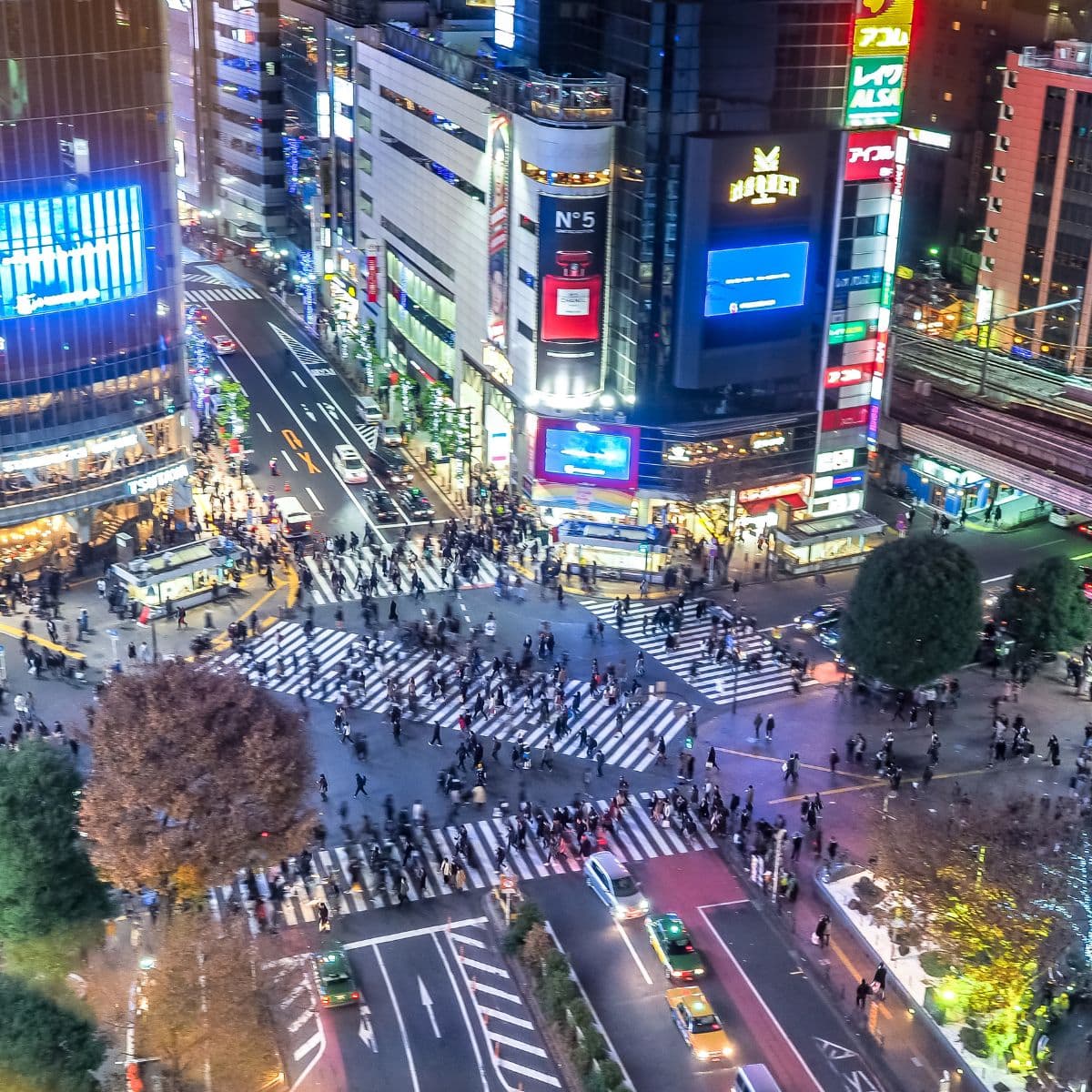 日本置產熱門區域-東京澀谷區