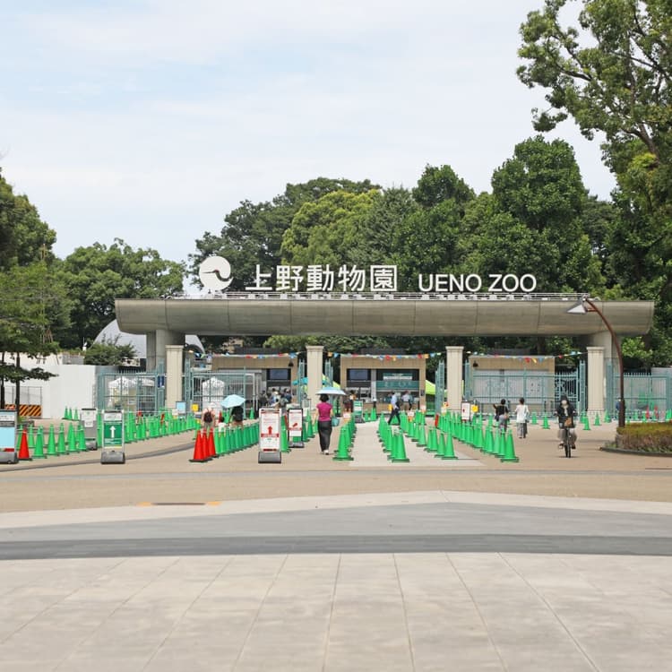 上野動物園將設置新型交通工具取代單軌列車