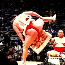 相撲