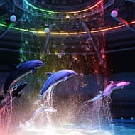 樂@東京：EPSON AQUA PARK品川