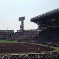夏季甲子園