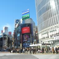 東京澀谷城市再造　商辦火