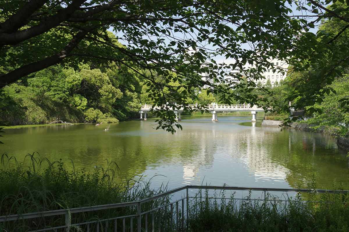 關西天王寺區天王寺公園｜購買日本東京不動產首選-日本信義